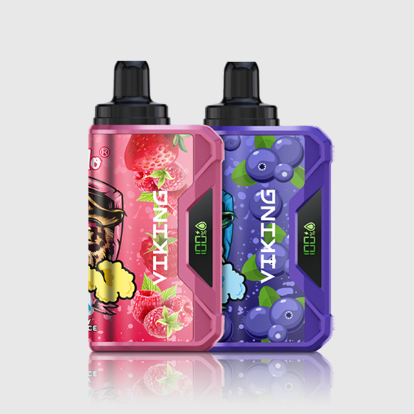 VapSolo VapSolo VIKING 12000 Puffs – Pack 2