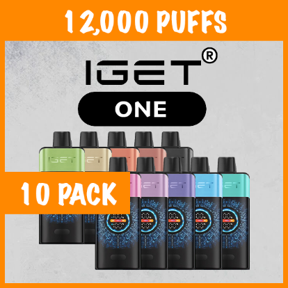 Vaporizers Direct 10 PACK – IGET ONE – 12000 PUFFS
