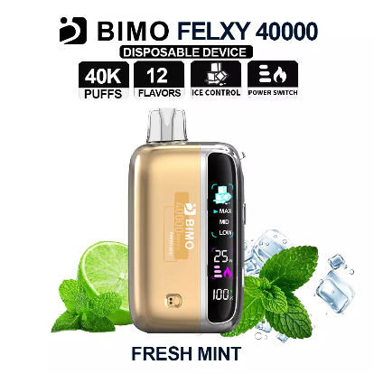 BIMO BIMO Felxy 40000 Pod – Fresh Mint